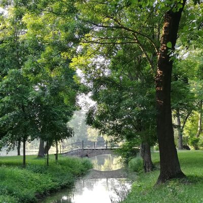 Fehérvárcsurgói Arborétum